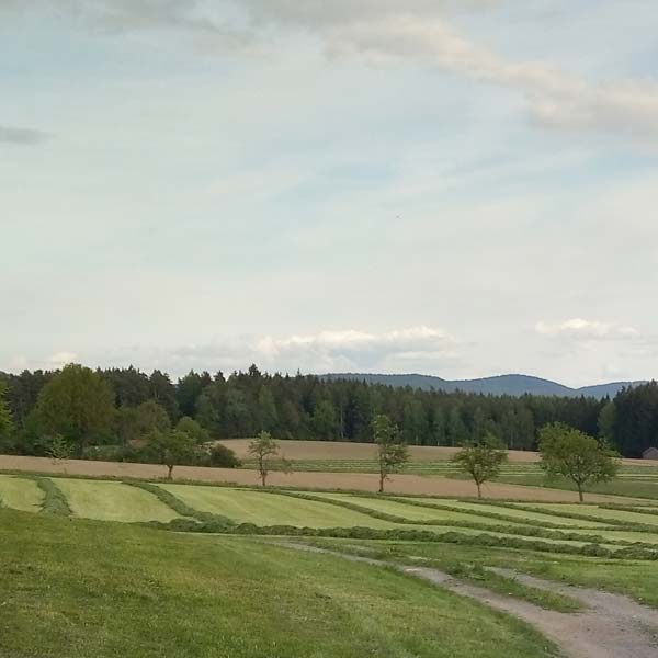 Ausblick vom Deckerhof