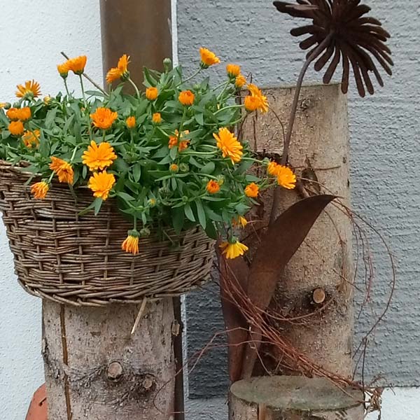 Dekoration mit Holzstämmen und Blumen